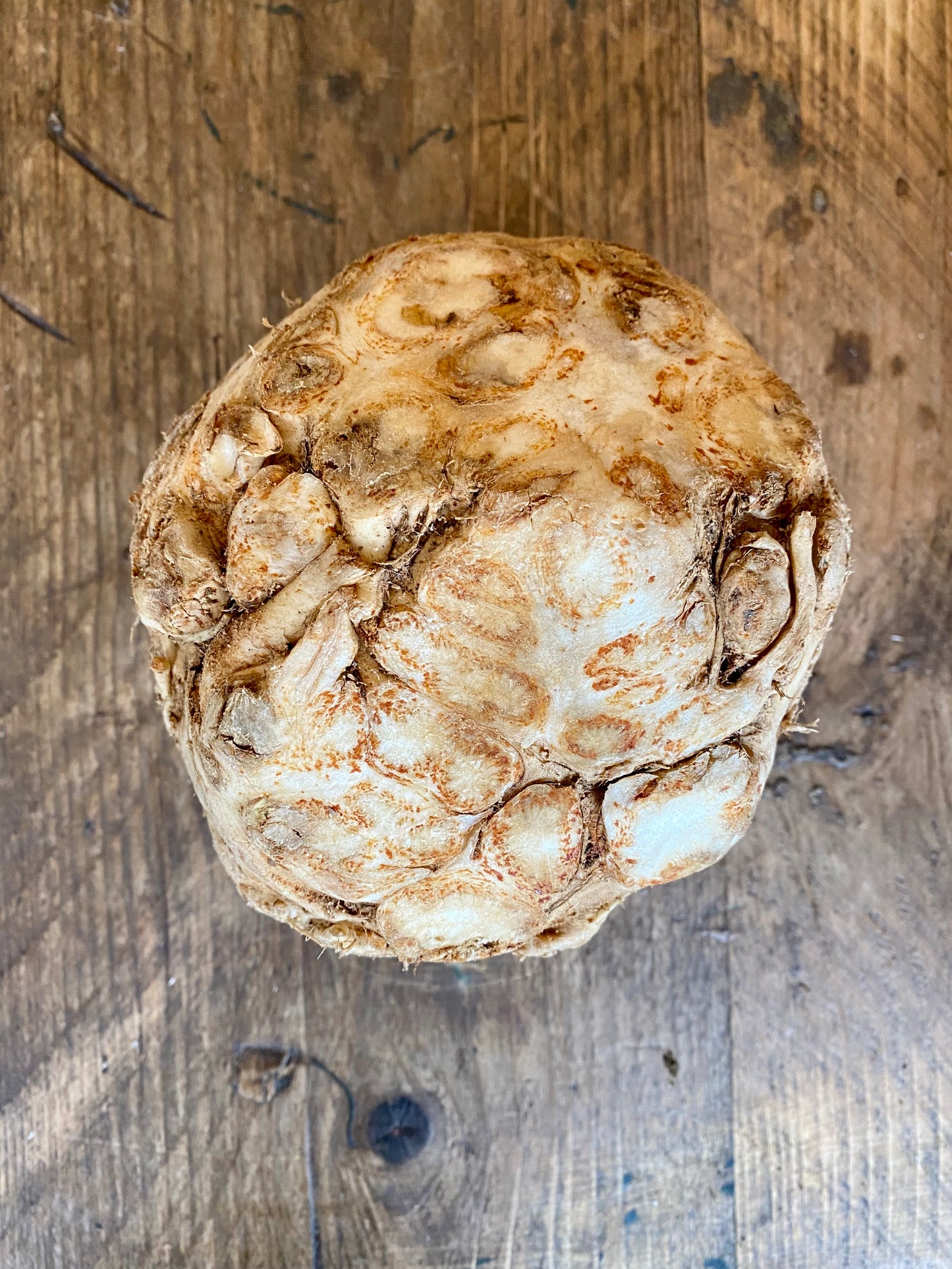 Organic Celeriac with Tops - UK