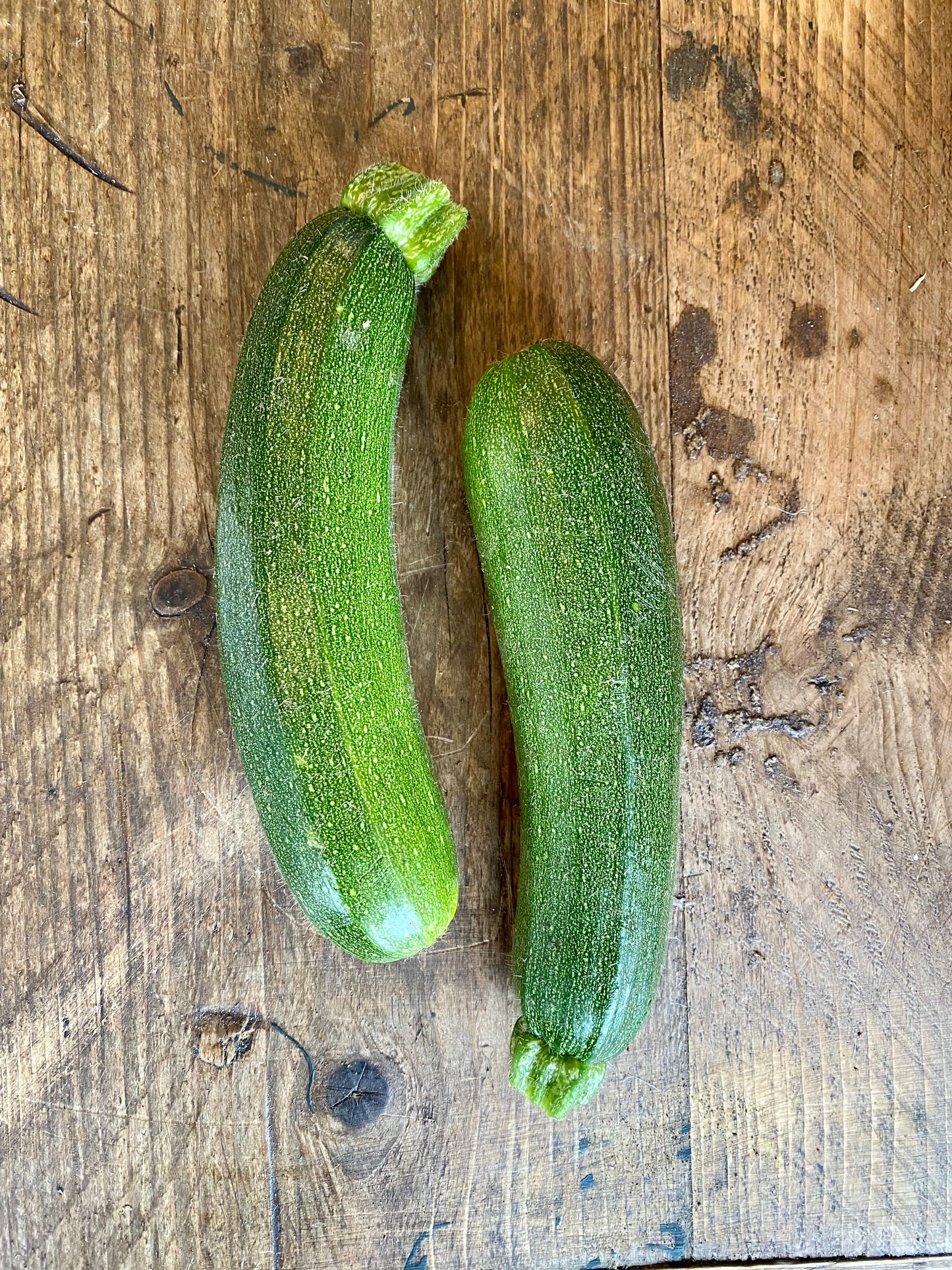 Organic Courgette - UK