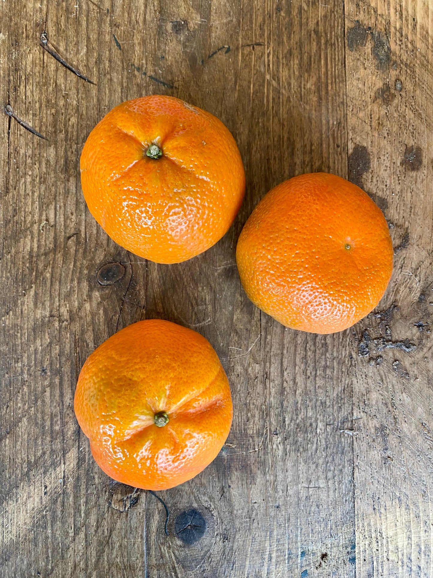 Organic Primasole Mandarins