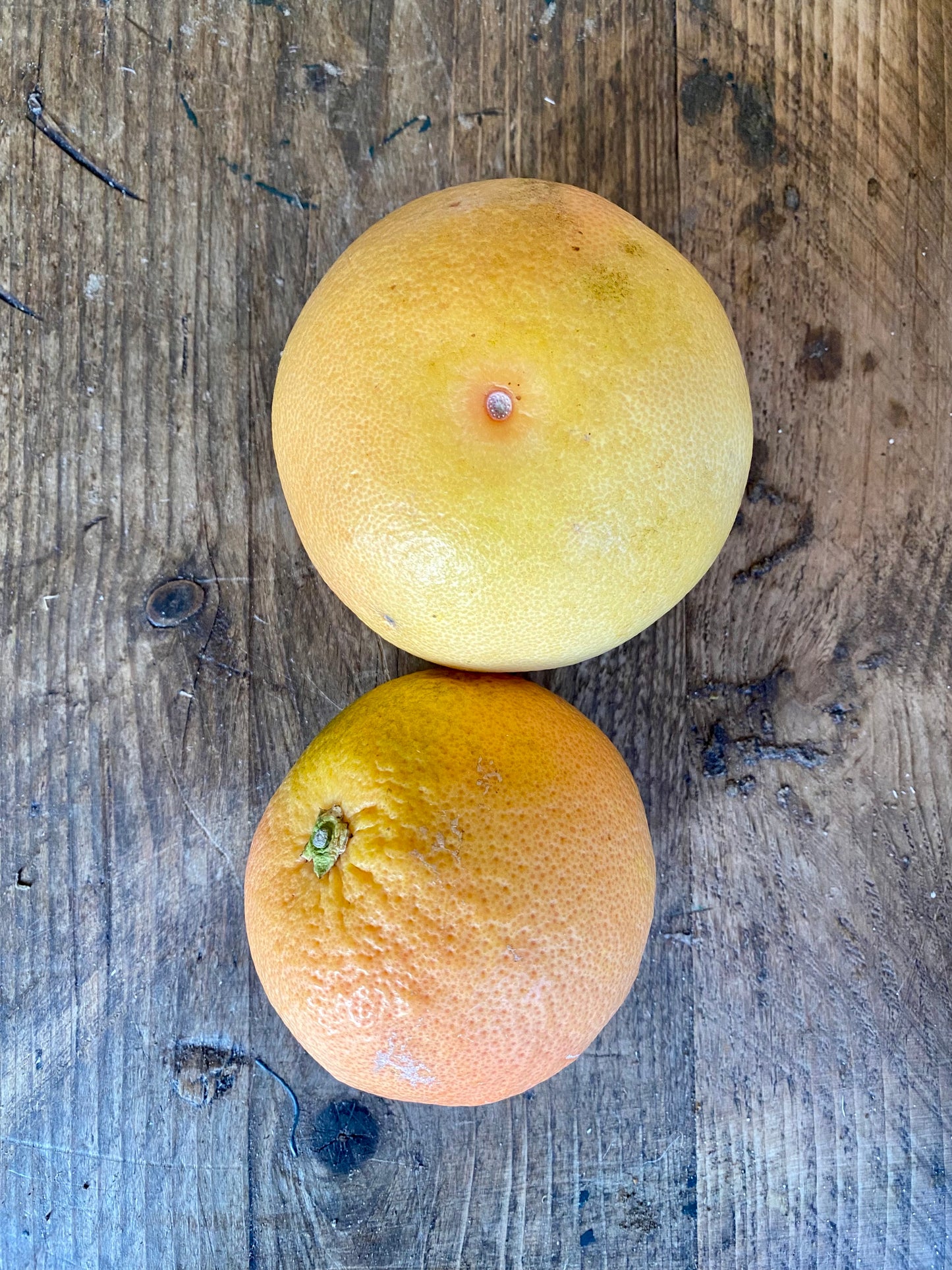 Organic Grapefruits