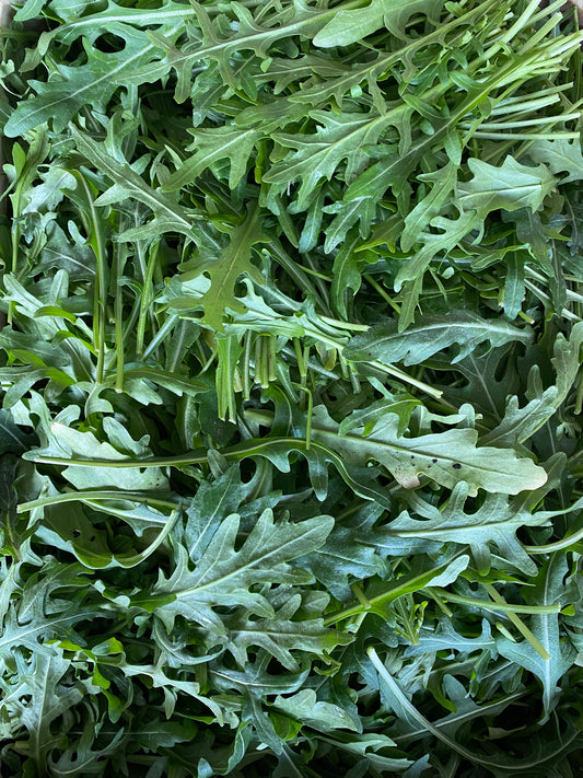 Organic Rocket - UK