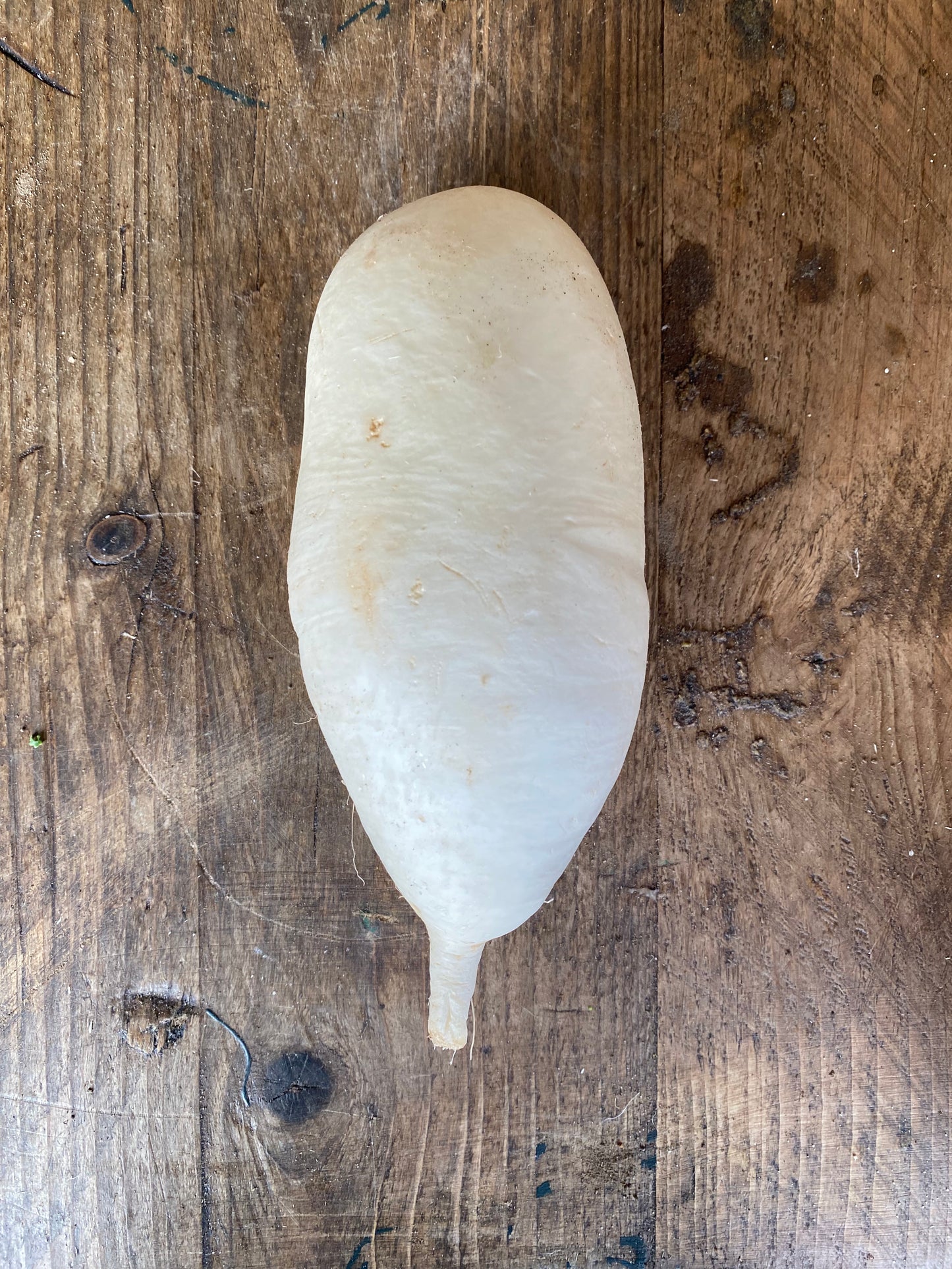 Organic White Mooli - UK