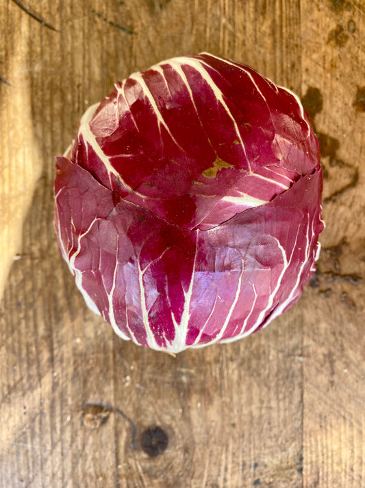 Organic Baby Radicchio - UK