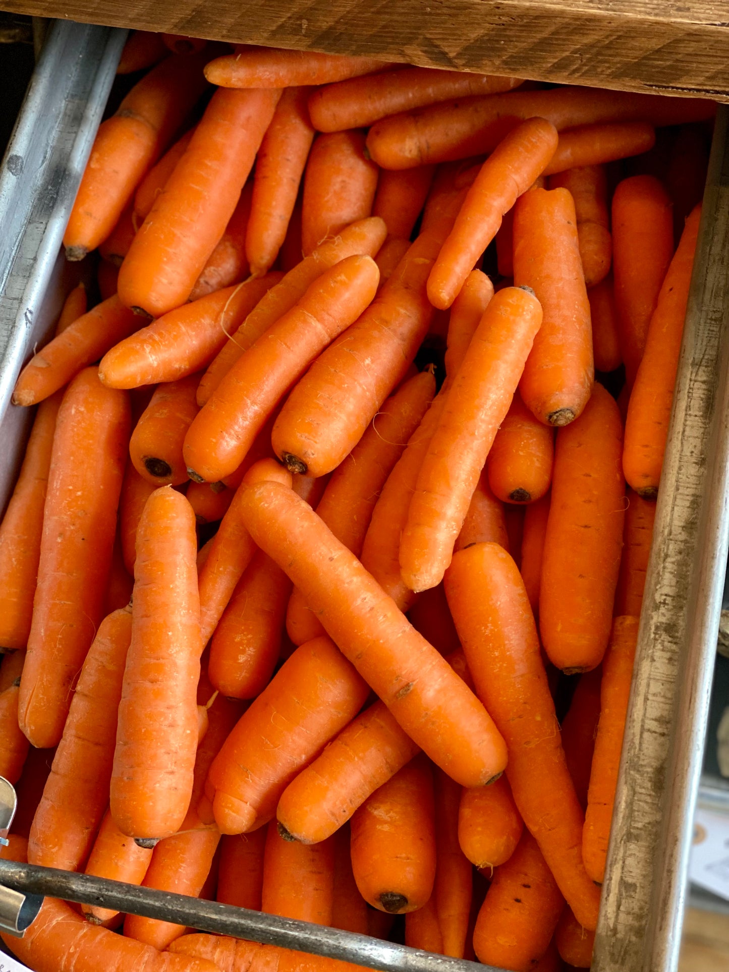 Organic Carrots - UK