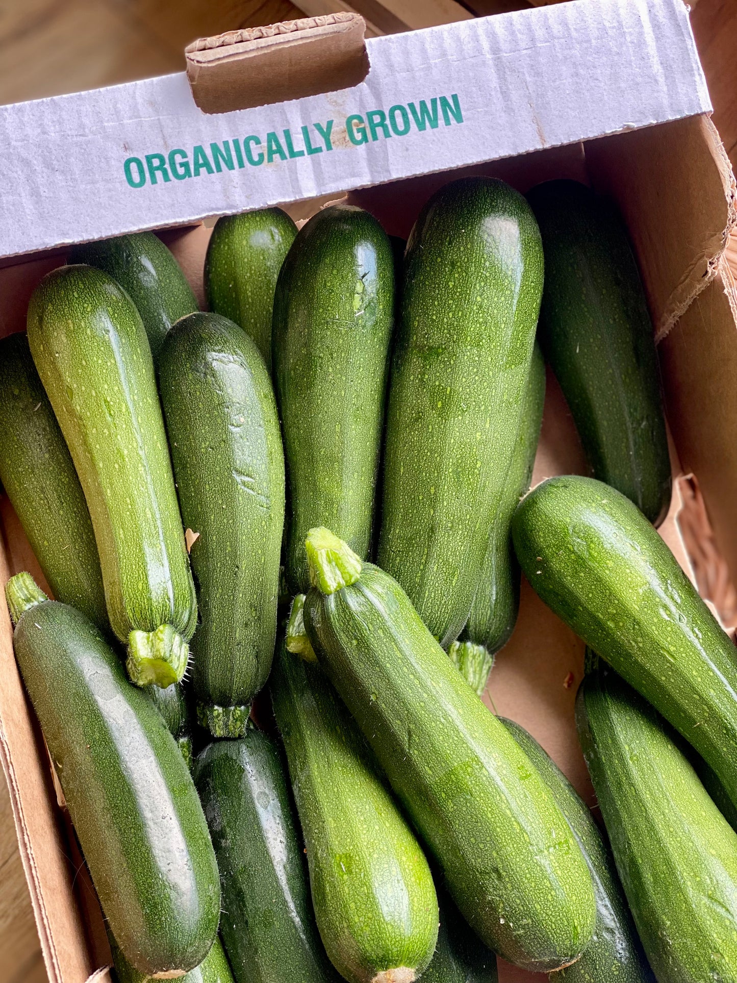 Organic Courgette - UK