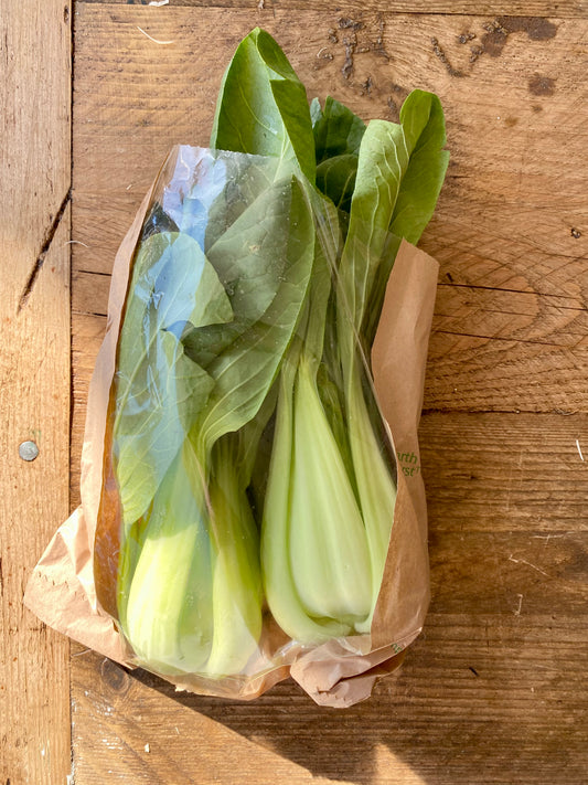 Organic Pak Choi - UK