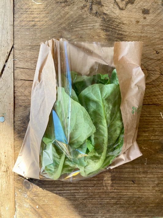 Organic Little Gem Lettuces - UK (Pack of 2)