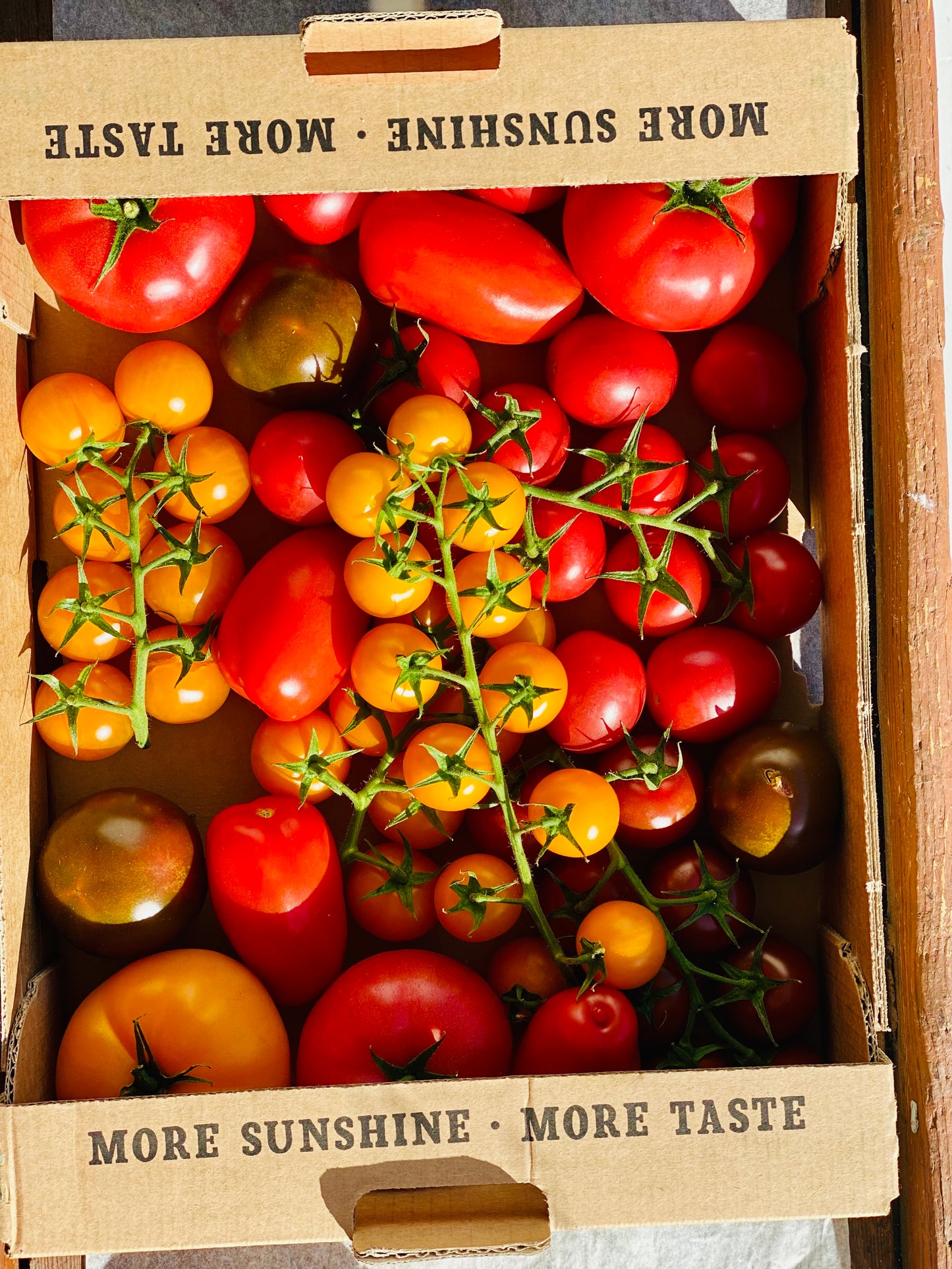 Organic Heirloom Tomatoes - UK