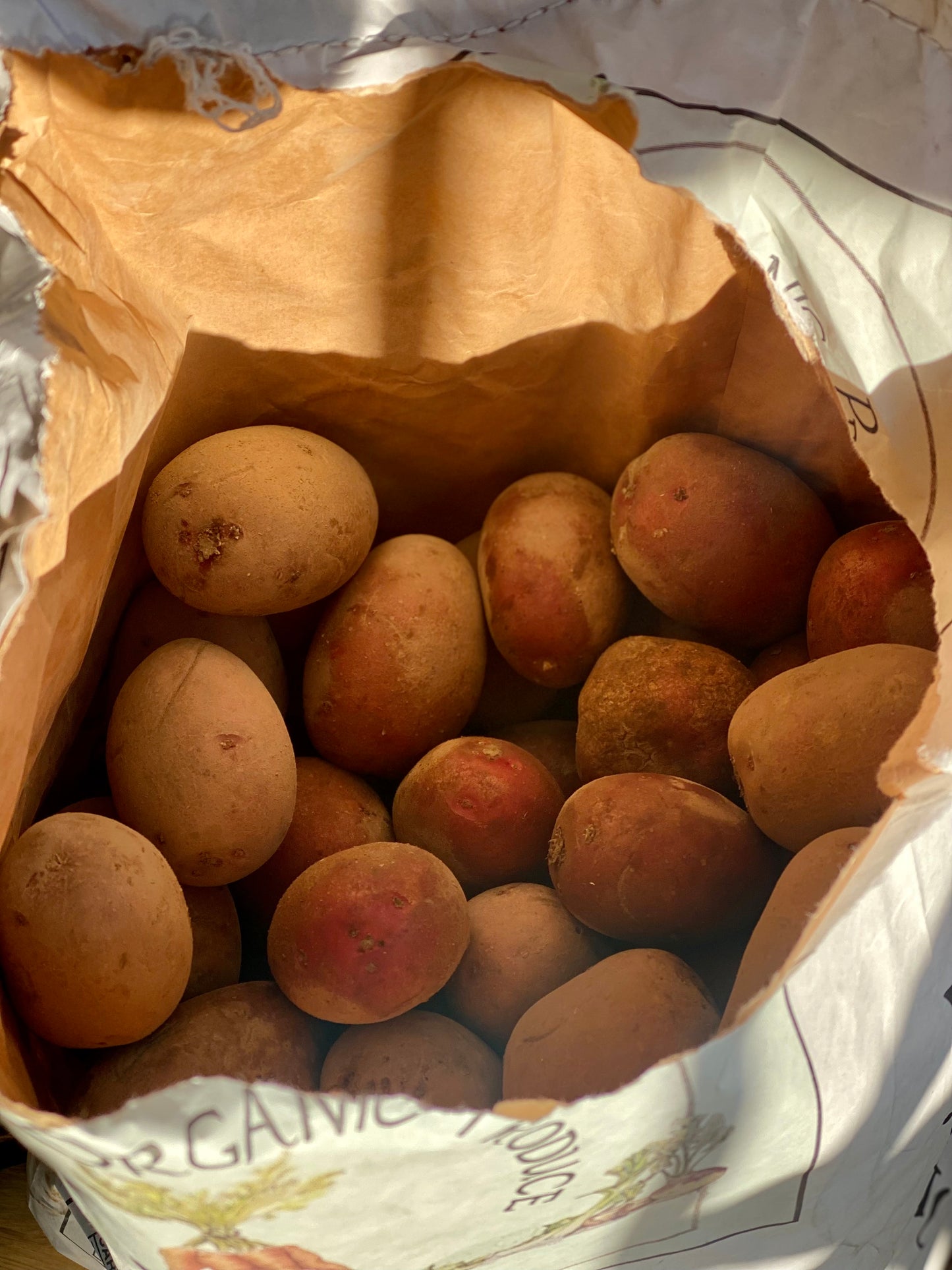 Organic Red Cara Potatoes