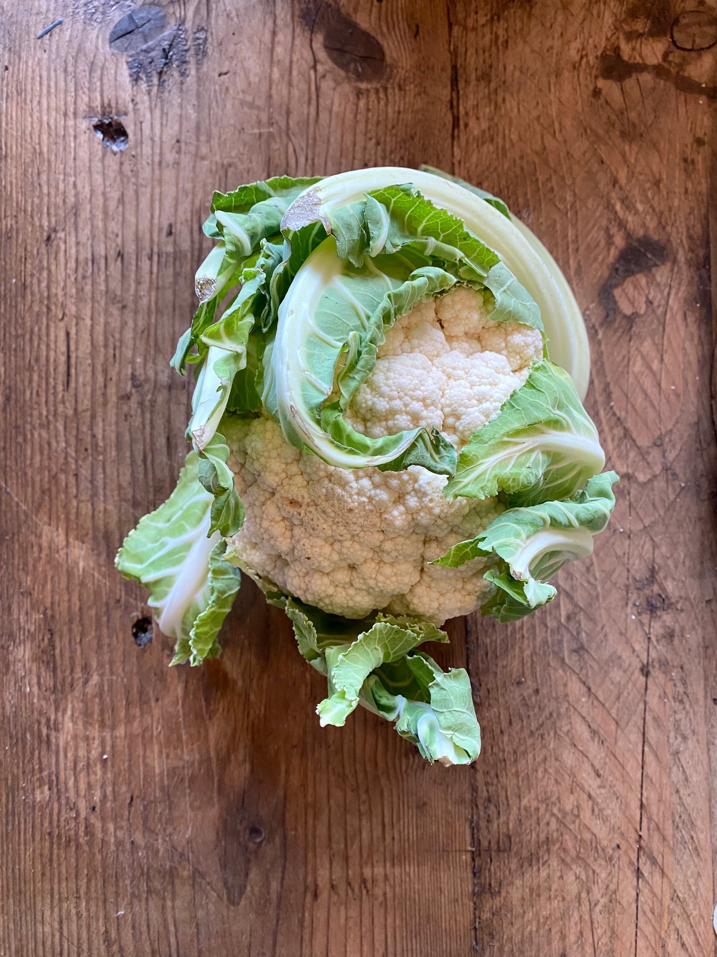 Organic Cauliflower - UK