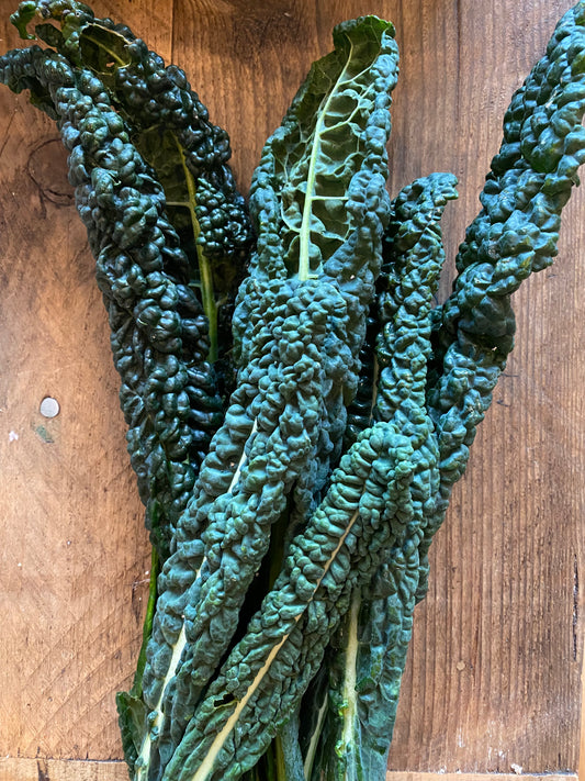 Organic Cavolo Nero - UK