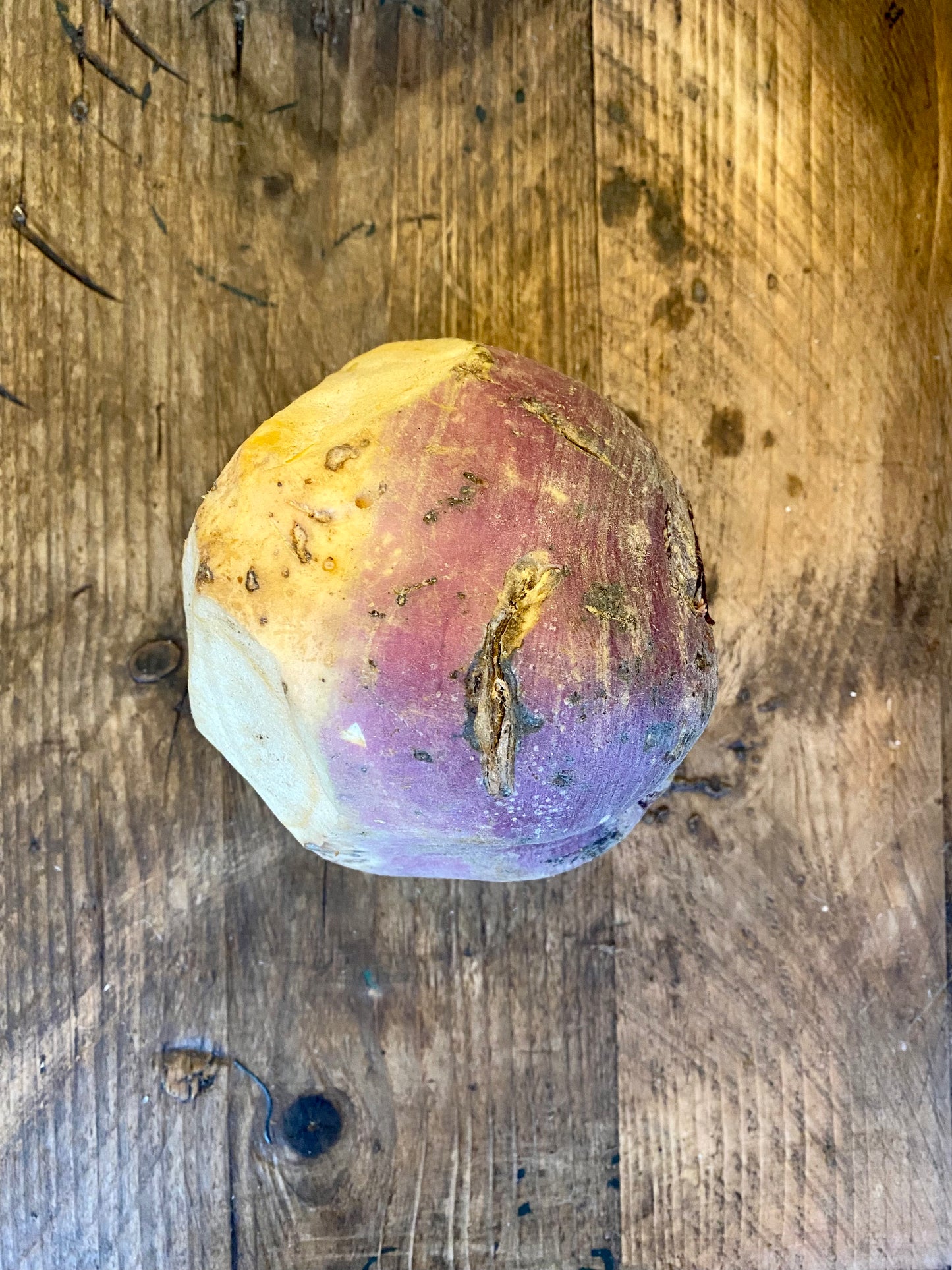 Organic Swede - UK