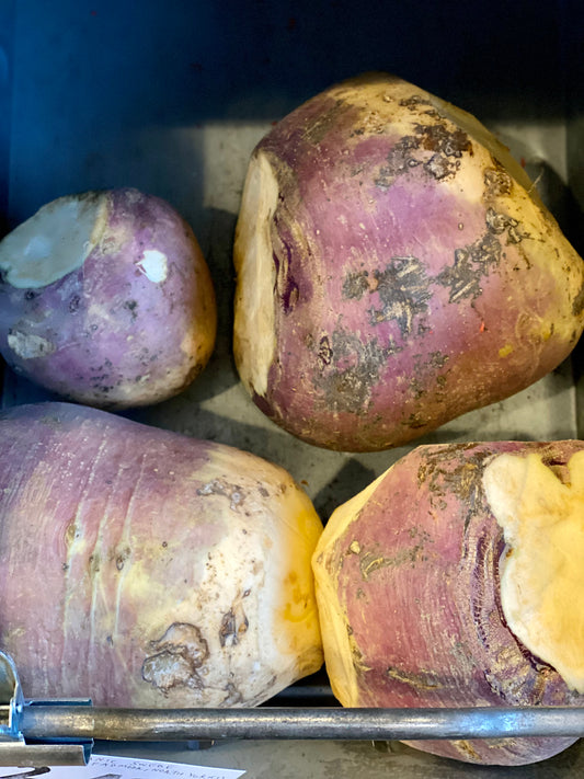 Organic Swede - UK
